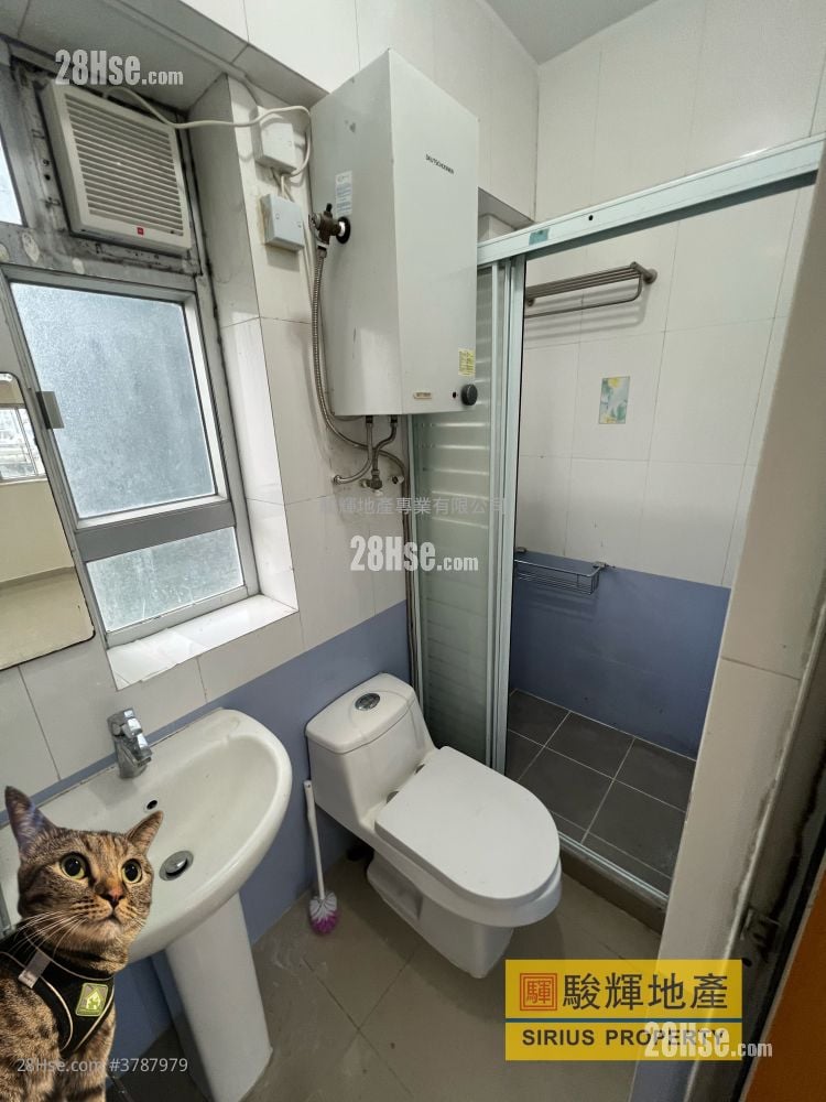 建福大厦 租盘 1 房 , 1 浴室 310 平方尺