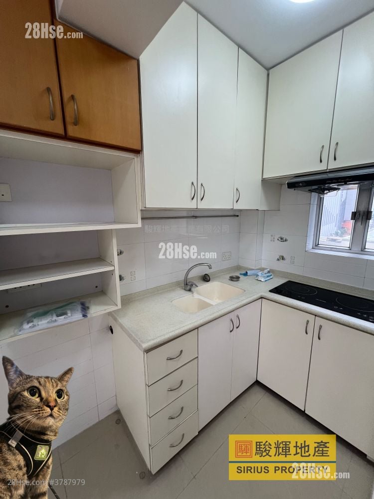 建福大厦 租盘 1 房 , 1 浴室 310 平方尺