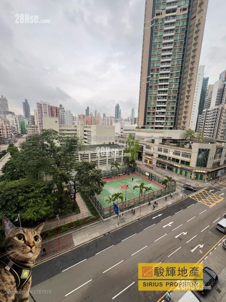 建福大厦 租盘 1 房 , 1 浴室 310 平方尺