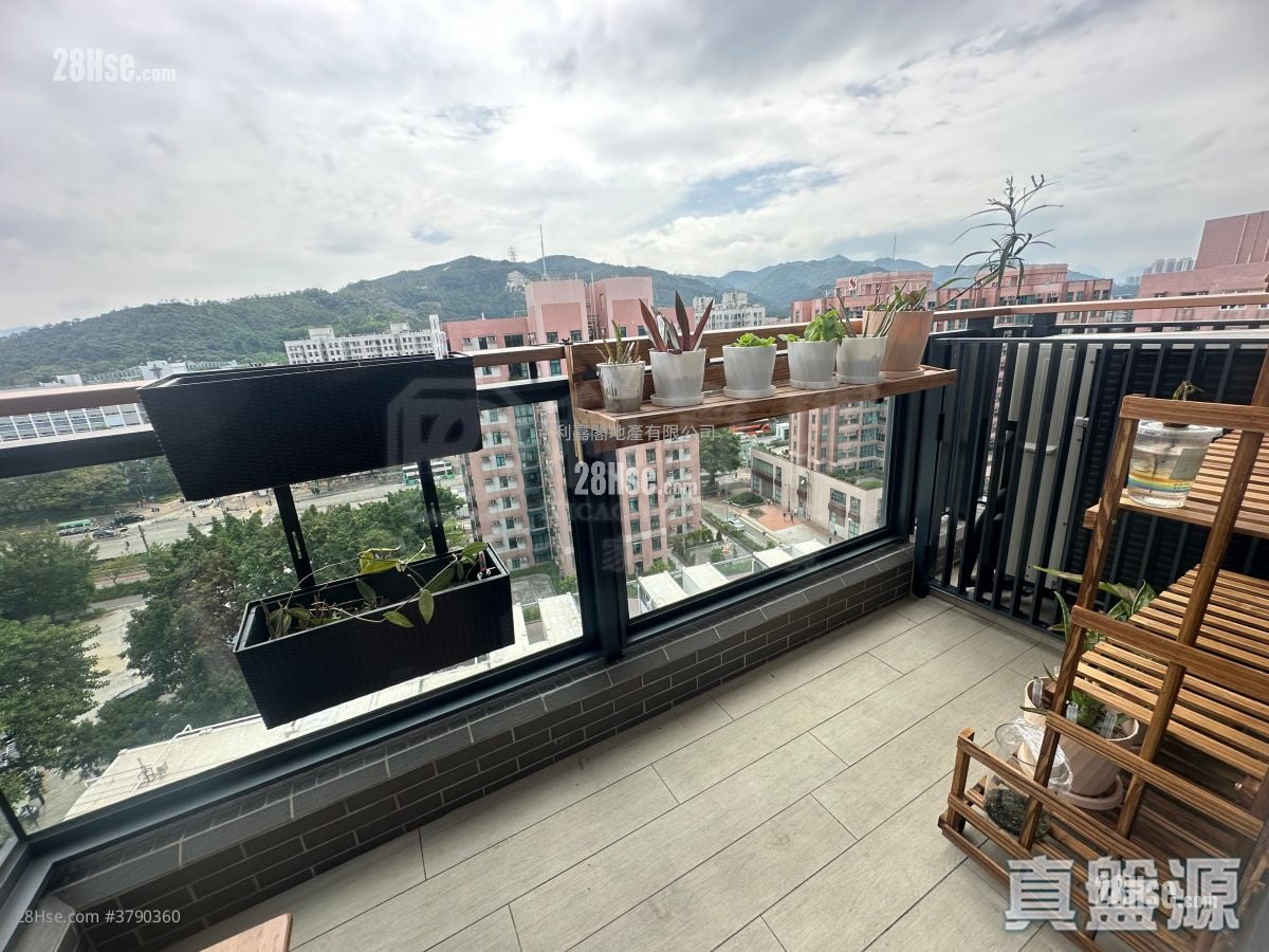 滙都 售盘 1 房 , 1 浴室 320 平方尺