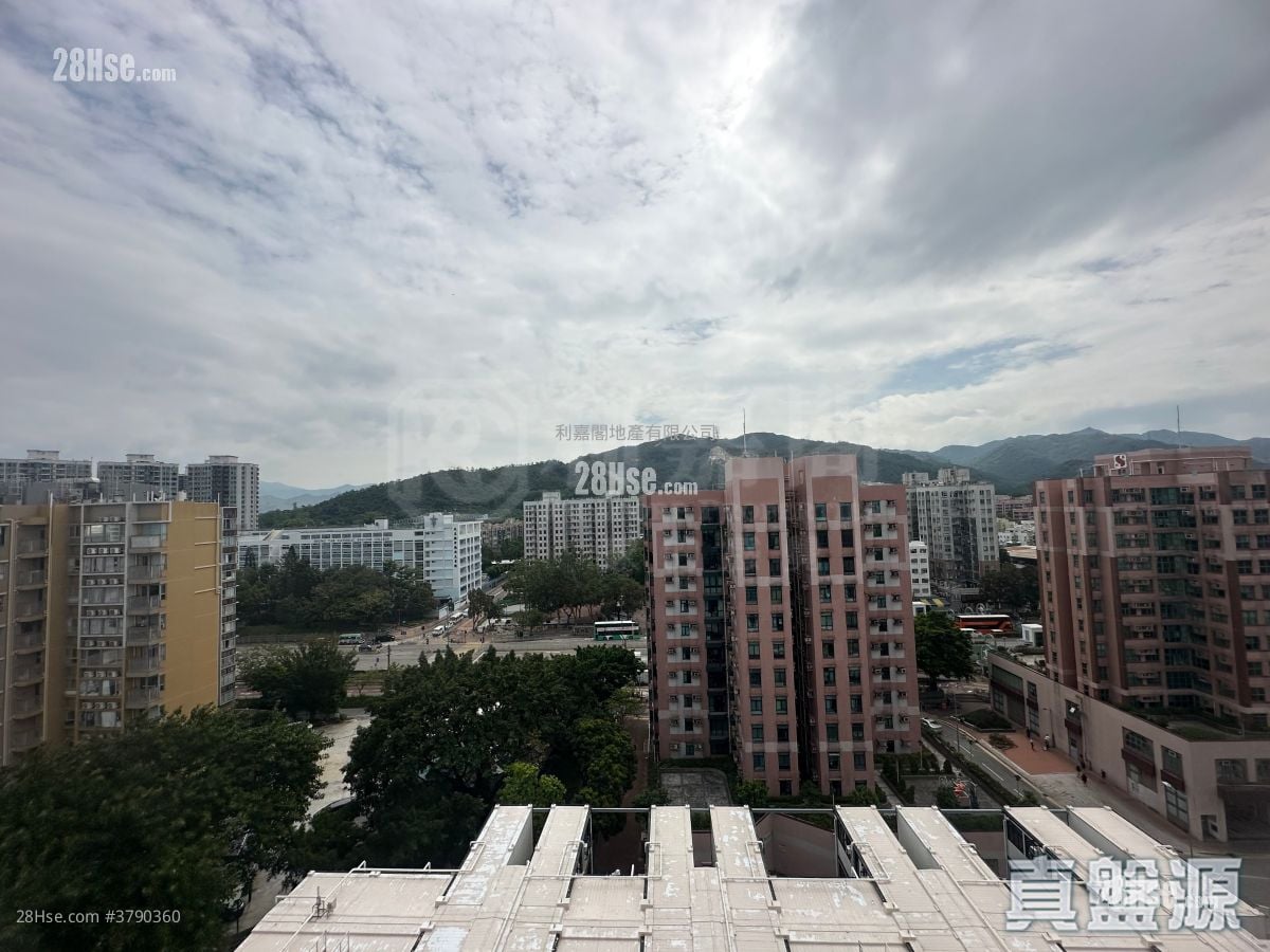 滙都 售盘 1 房 , 1 浴室 320 平方尺