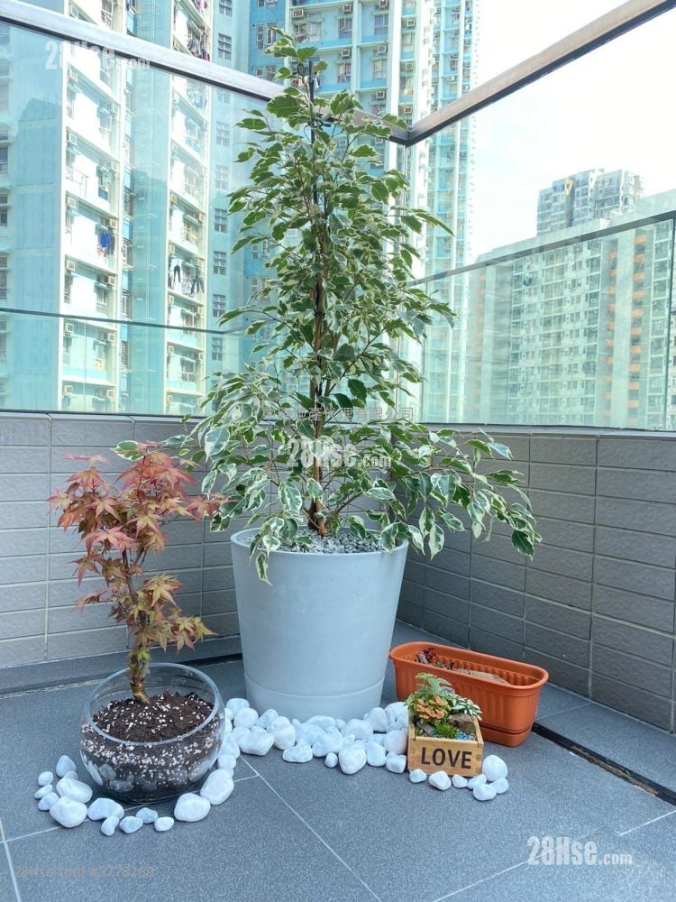 Edition 178 Sell Studio , 1 Bathroom 251 ft²