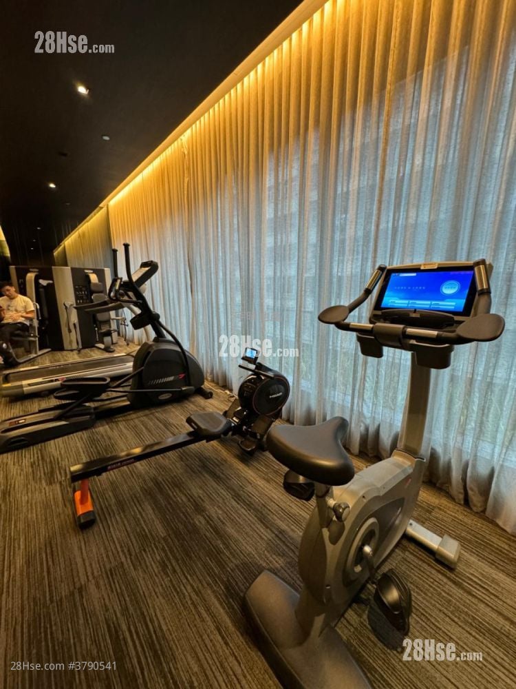 High One Rental Studio , 1 Bathroom 193 ft²