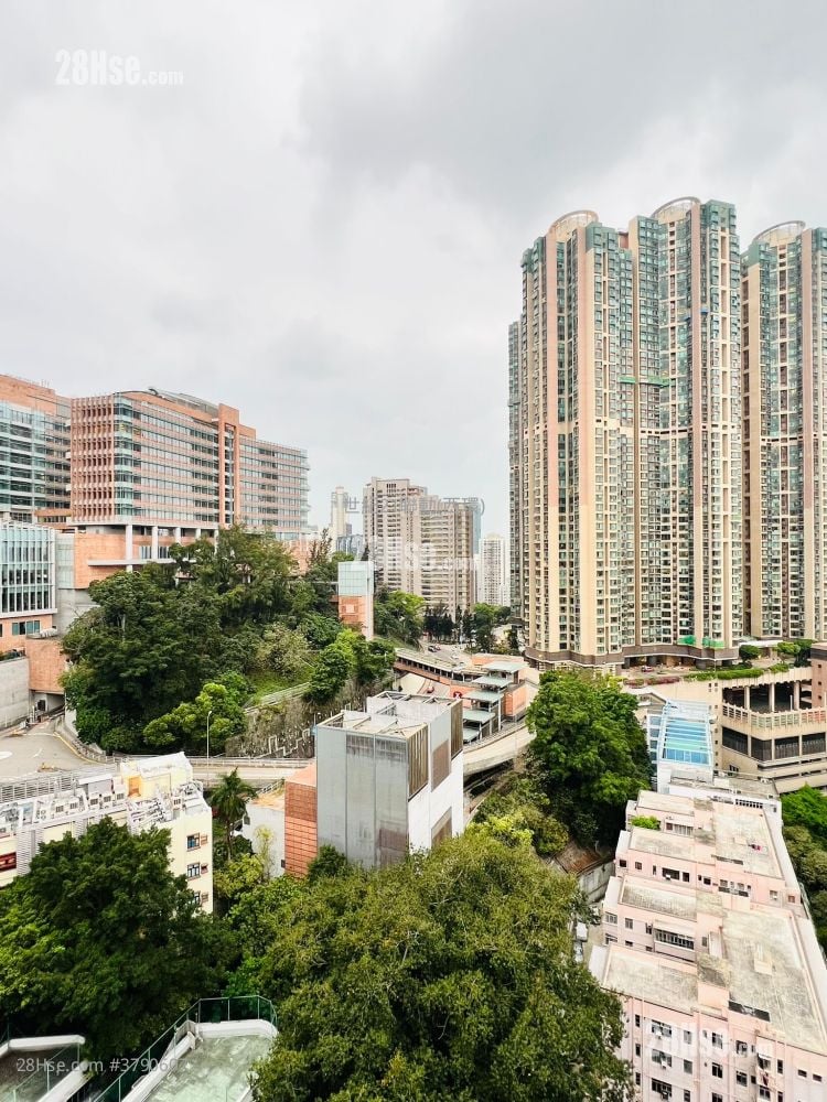 Cheong Wan Mansion Sell 1 Bedroom , 1 Bathroom 346 ft²
