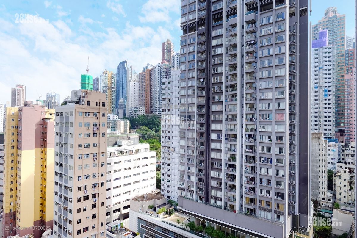 景观: Flora Court 租盘 1 房 , 1 浴室 313 平方尺