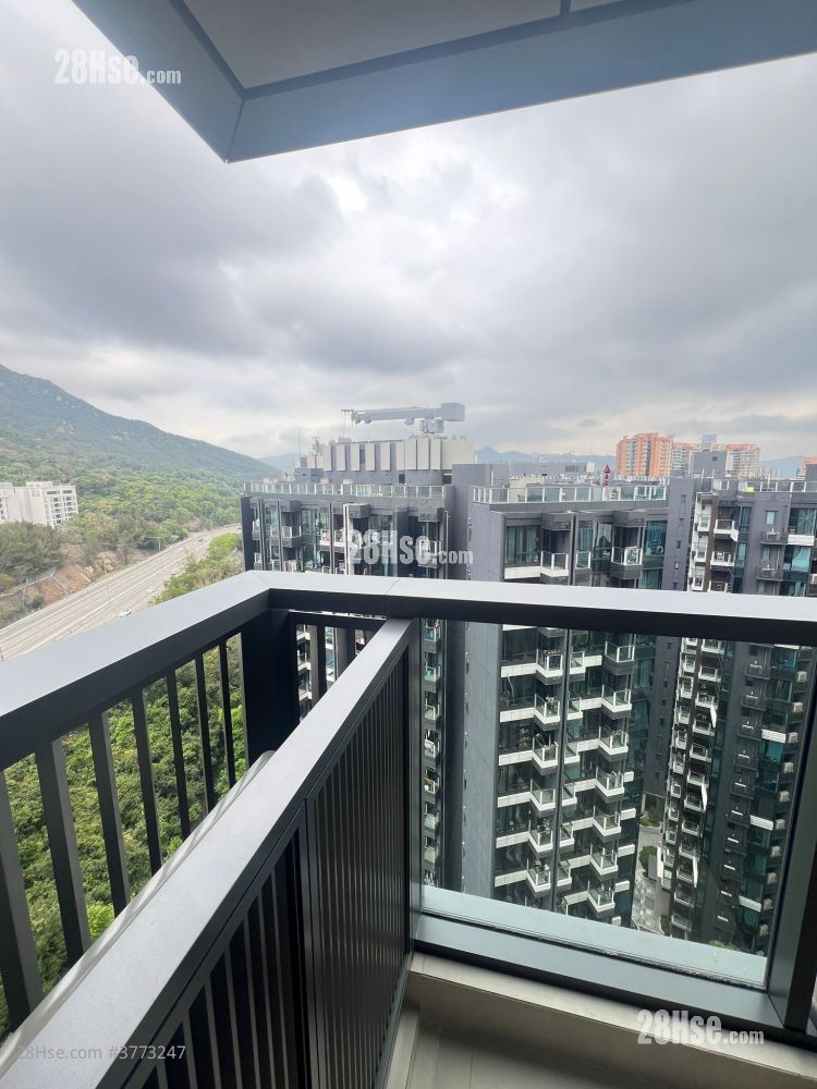 Gold Coast Bay Sell Studio , 1 Bathroom 204 ft²