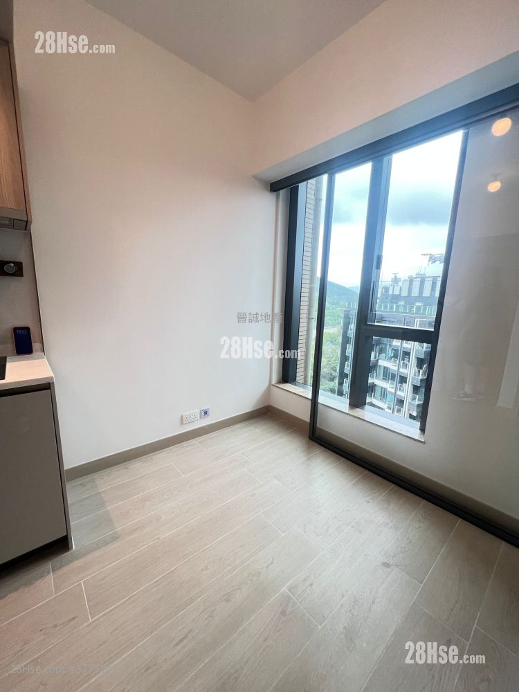 Gold Coast Bay Sell Studio , 1 Bathroom 204 ft²