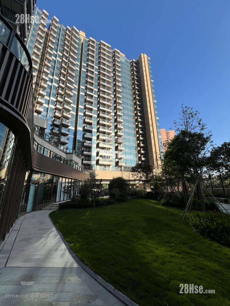 Gold Coast Bay Sell Studio , 1 Bathroom 204 ft²