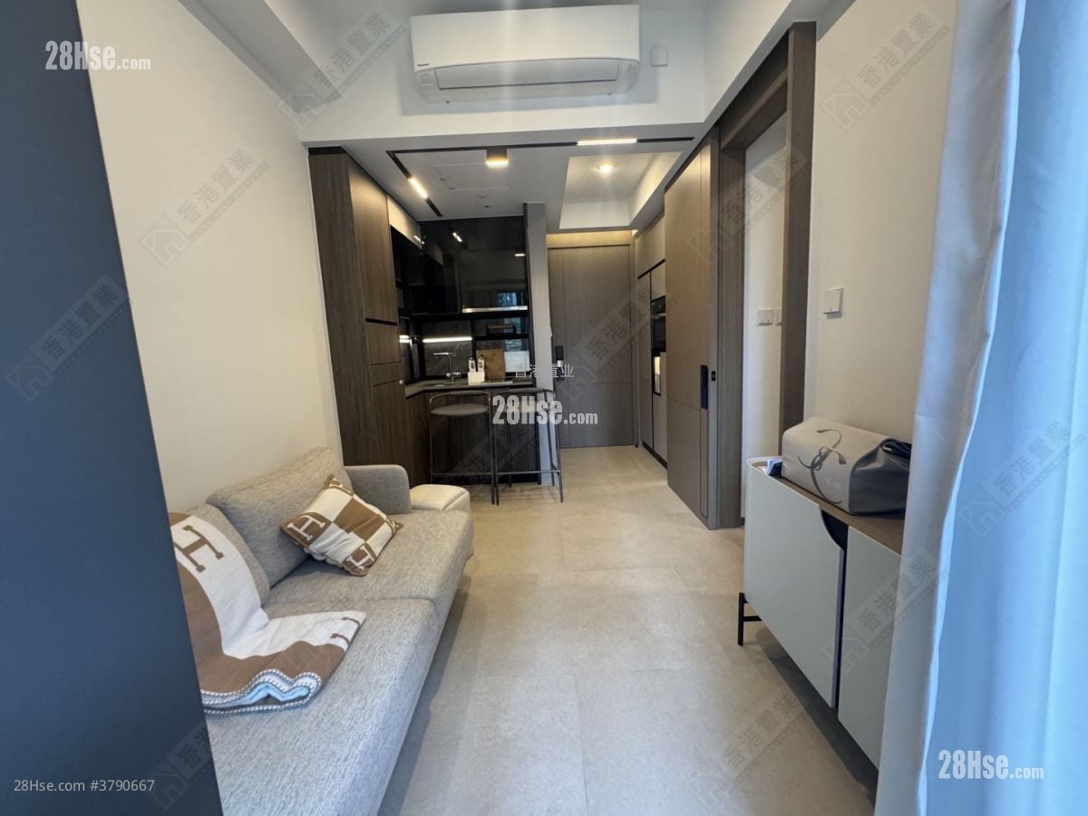 天玺天 售盘 1 房 301 平方尺