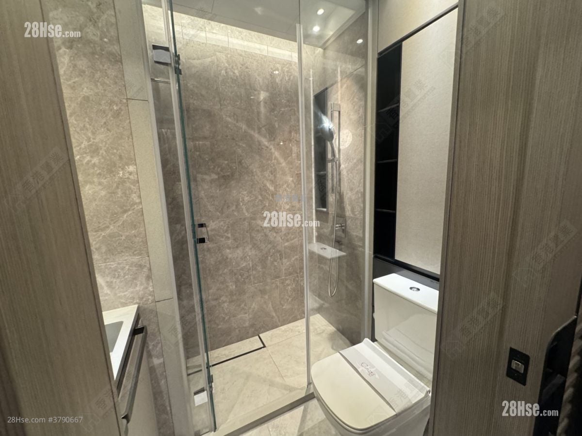 天玺天 售盘 1 房 301 平方尺