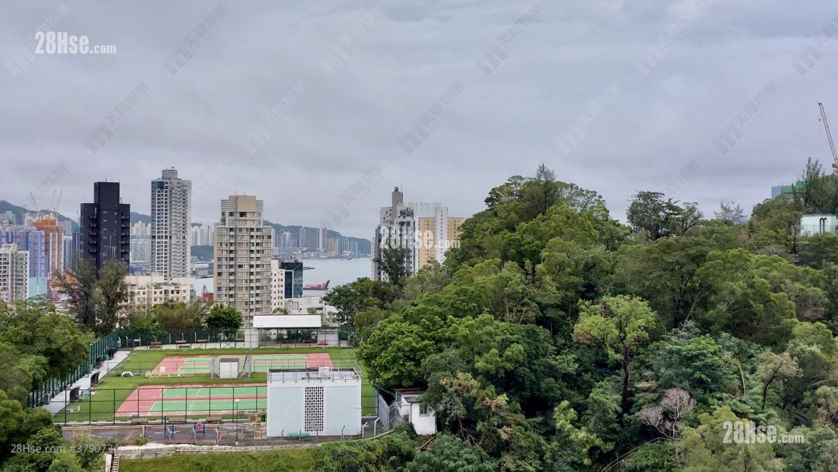 皓畋 售盘 3 房 928 平方尺