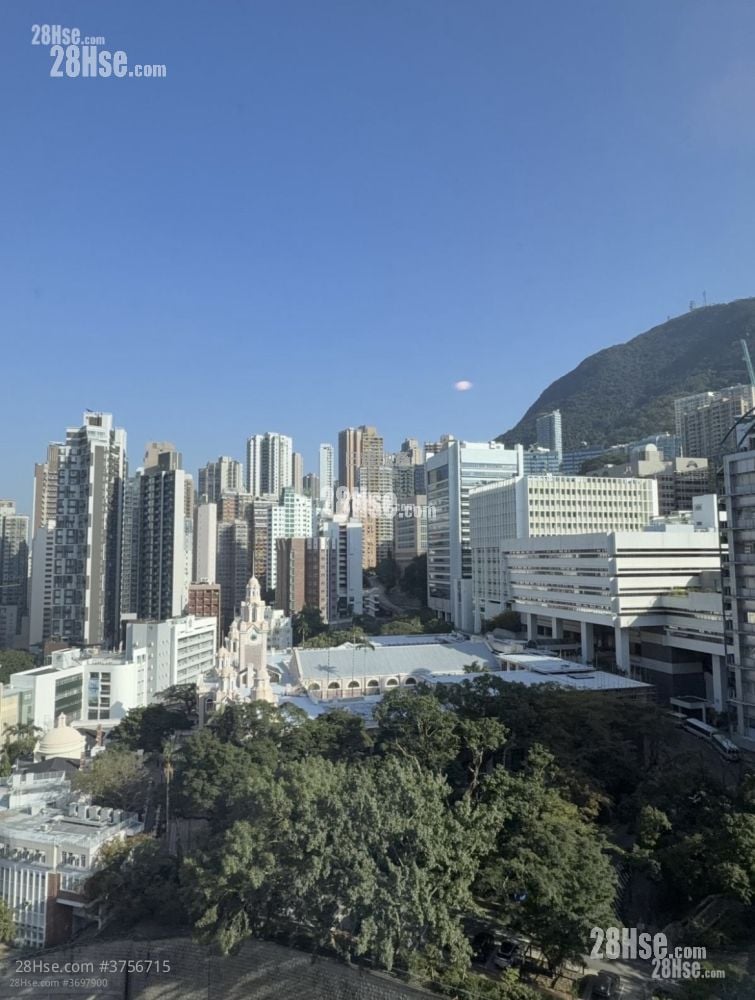 The Hilltop Rental 2 Bedrooms , 1 Bathroom 475 ft²