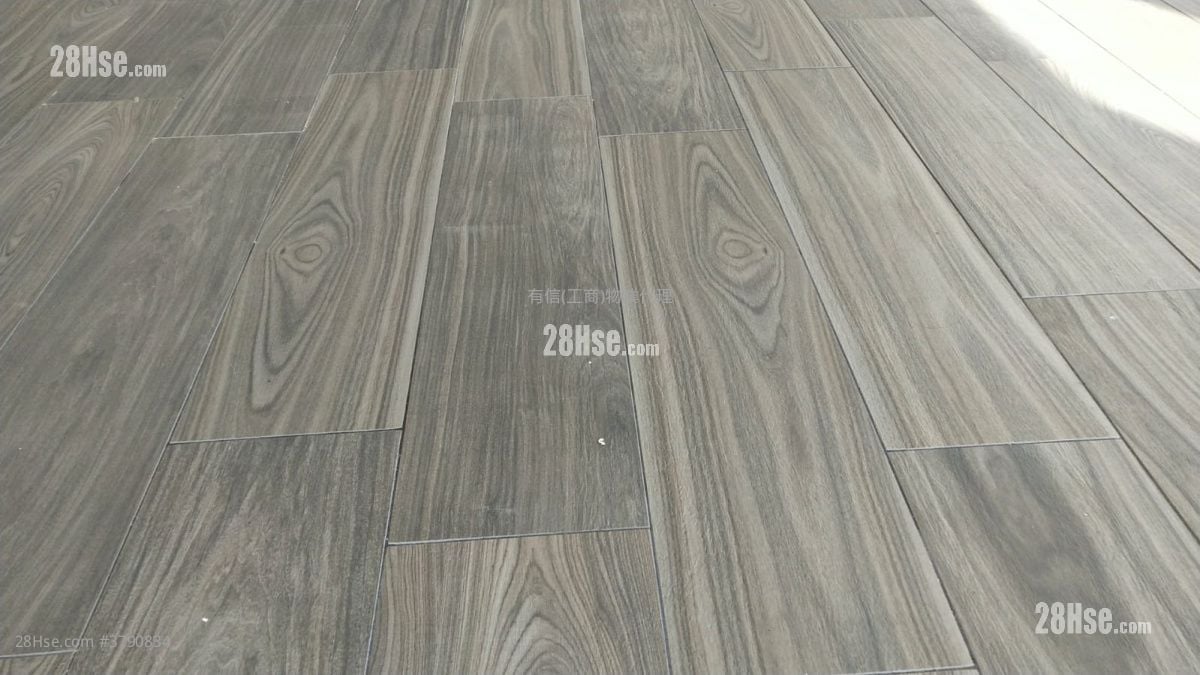 W668 Rental 1 Toilet