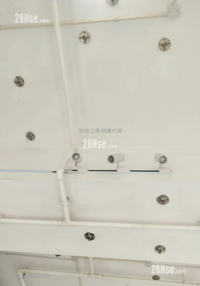 W668 Rental 1 Toilet