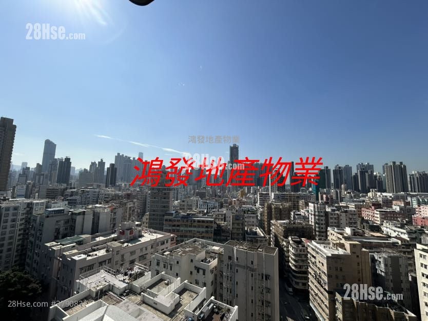 The Paddington Rental 1 Bedroom , 1 Bathroom 246 ft²