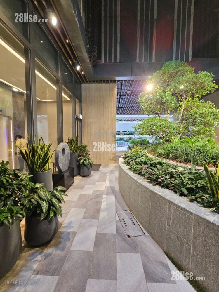 The Paddington Rental 1 Bedroom , 1 Bathroom 246 ft²