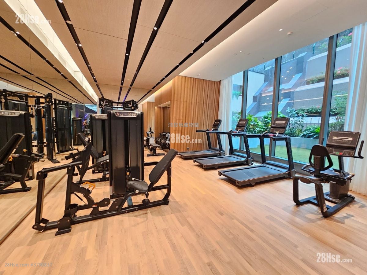 The Paddington Rental 1 Bedroom , 1 Bathroom 246 ft²