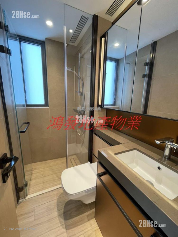 Cetus Square Mile Rental 1 Bedroom , 1 Bathroom 308 ft²