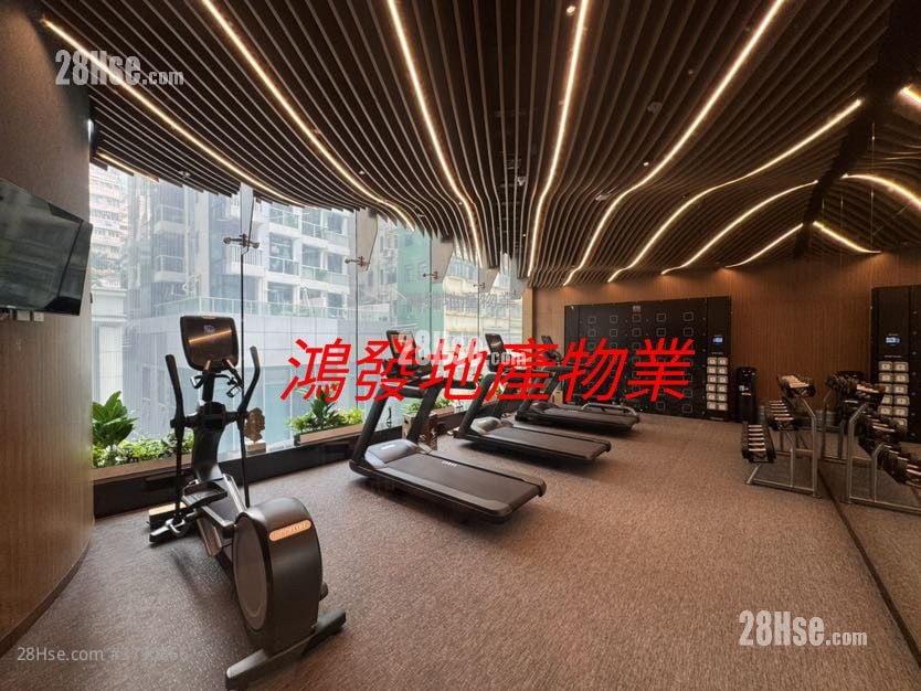 Cetus Square Mile Rental 1 Bedroom , 1 Bathroom 308 ft²