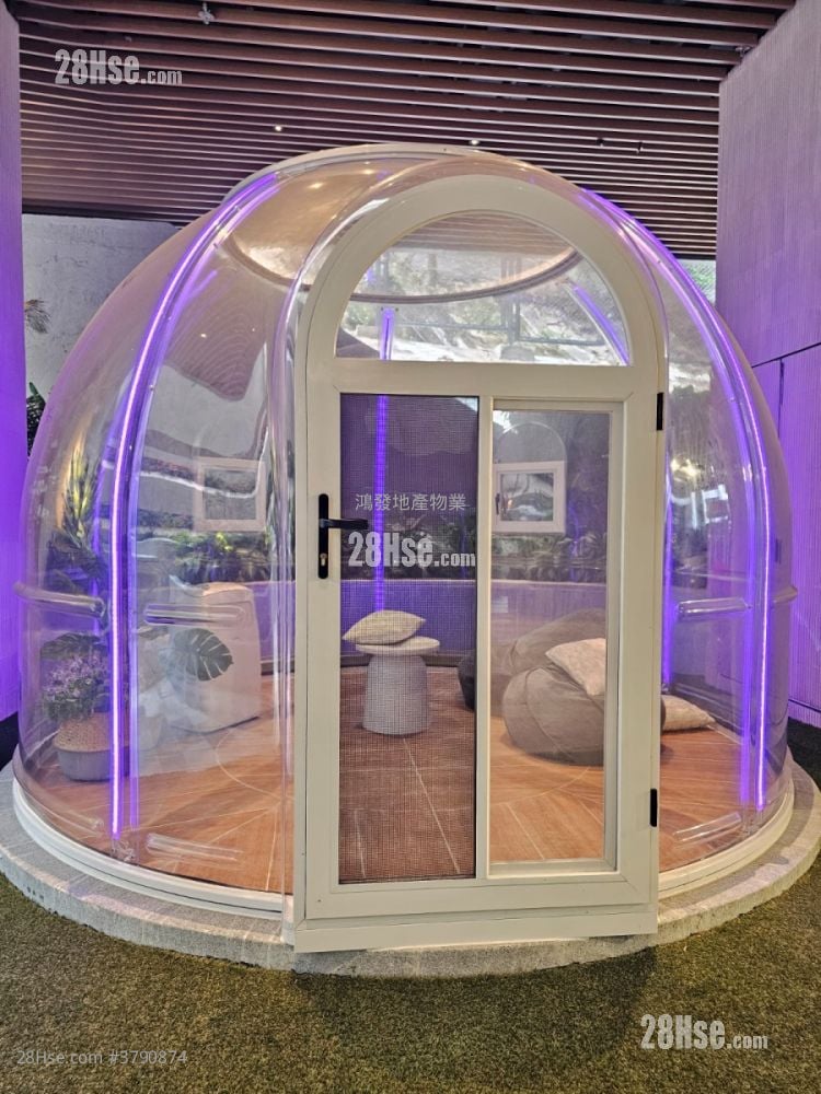 The Paddington Rental 2 Bedrooms , 1 Bathroom 350 ft²