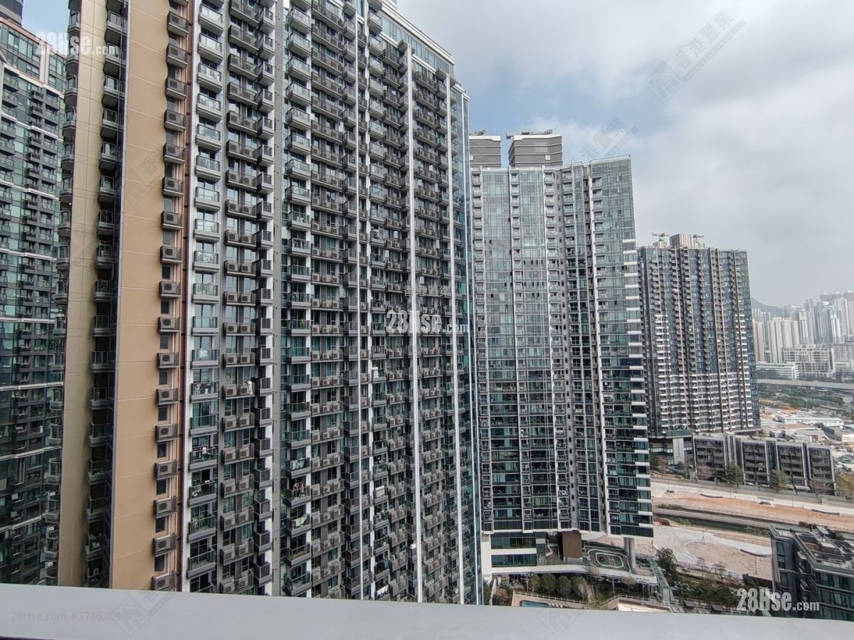 Henley Park Rental Studio , 1 Bathroom 250 ft²