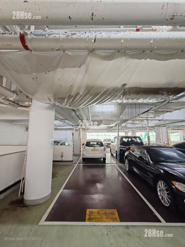 Tung Chung Crescent Rental