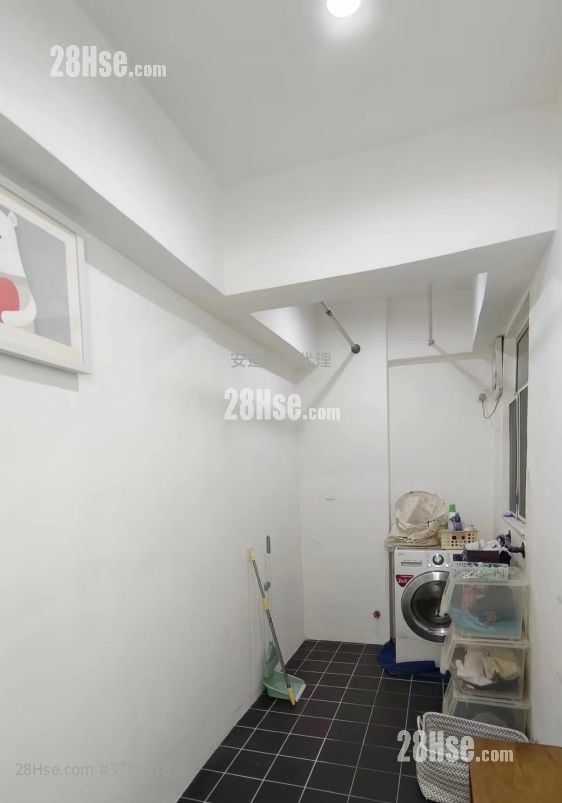 德丰大厦 租盘 2 房 , 1 浴室 573 平方尺