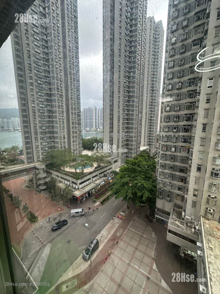 Riviera Gardens Rental 3 Bedrooms , 1 Bathroom 497 ft²