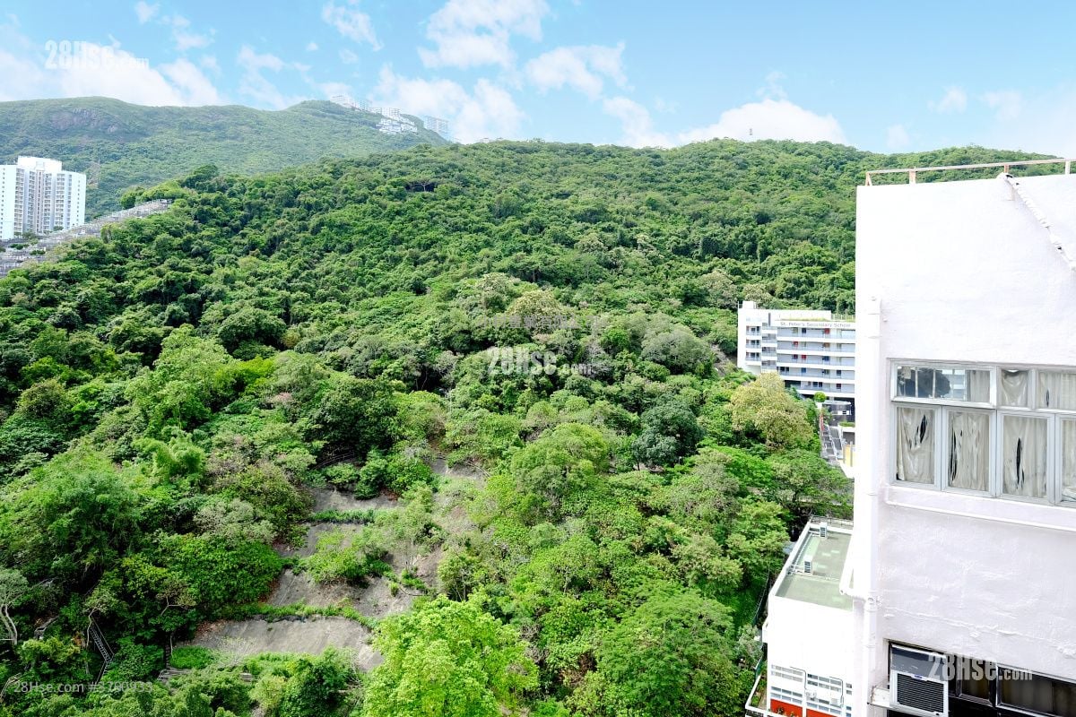 View: Island Building Rental 1 Bedroom , 1 Bathroom 294 ft²