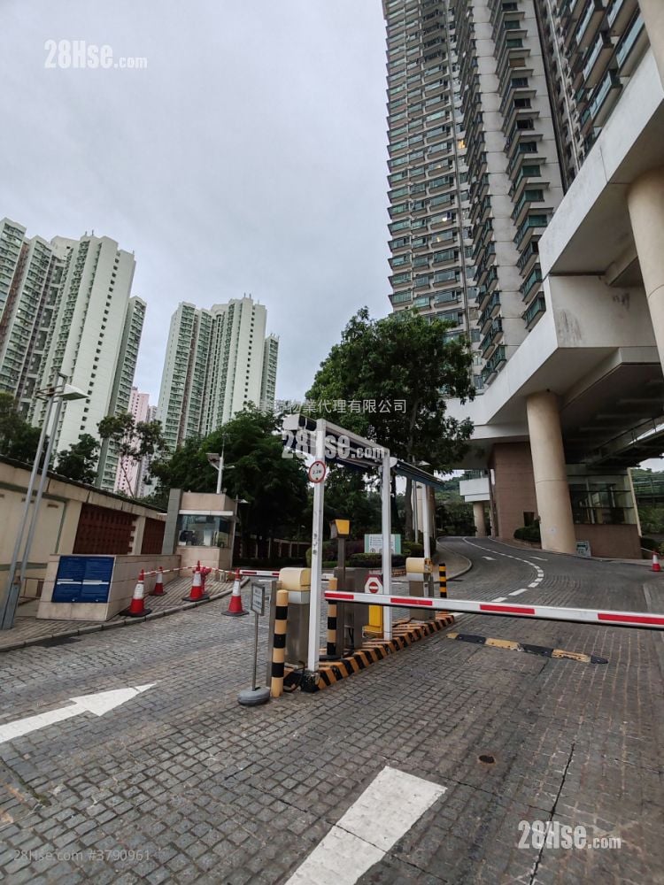 Tung Chung Crescent Rental