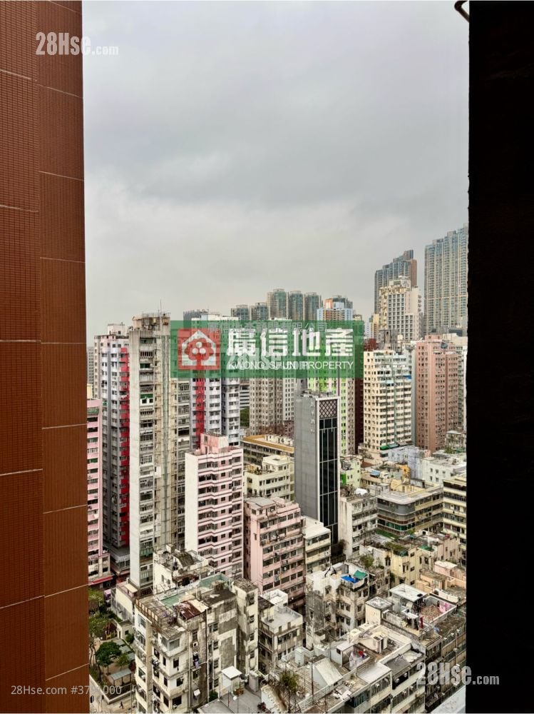 金辉大厦 租盘 2 房 , 1 浴室 302 平方尺