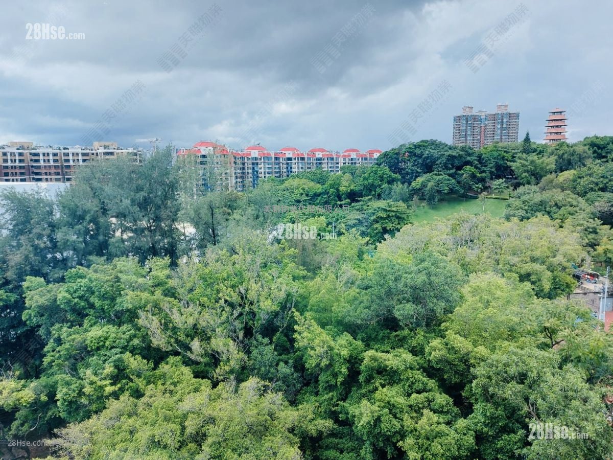 艺典居 售盘 3 房 , 2 浴室 699 平方尺