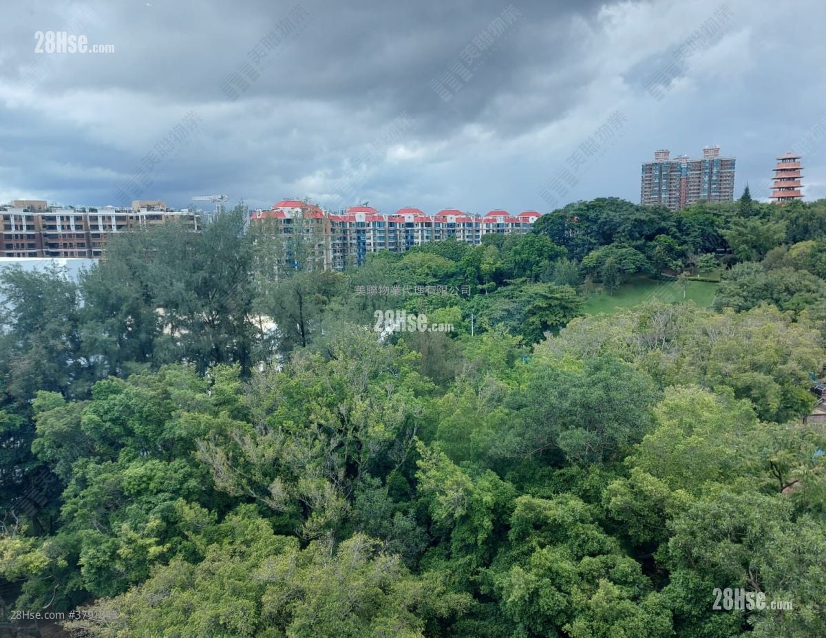 景观: 艺典居 售盘 3 房 , 2 浴室 699 平方尺