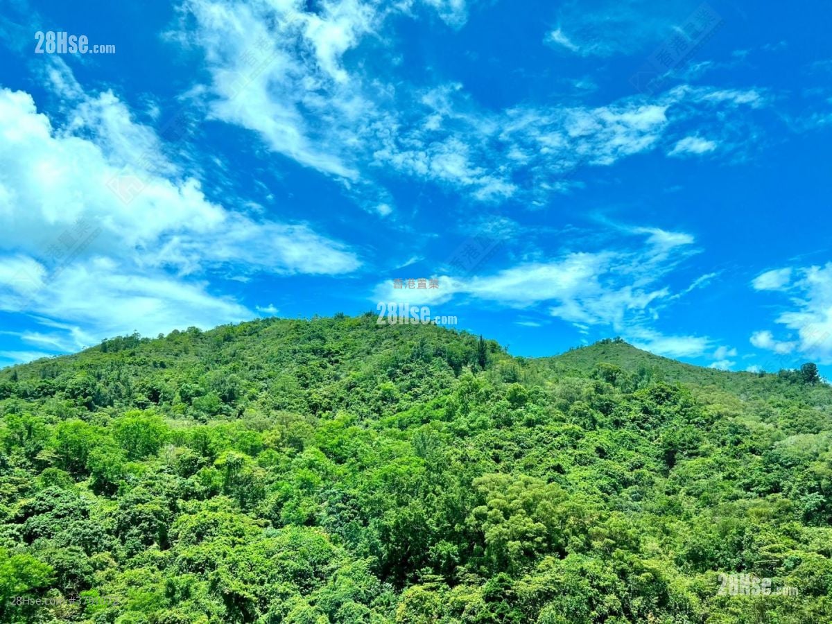 Ocean Shores Sell 2 Bedrooms , 1 Bathroom 503 ft²