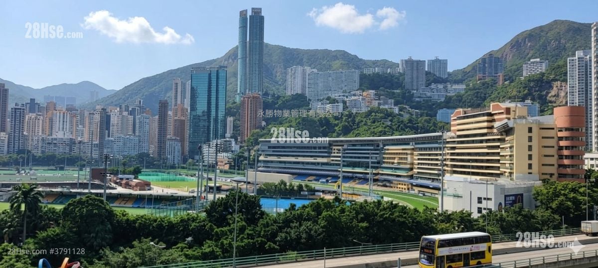 76 Morrison Hill Road Sell 3 Bedrooms , 2 Bathrooms 920 ft²