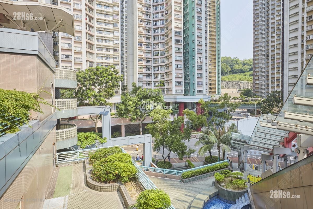 海怡半岛 租盘 2 房 , 1 浴室 519 平方尺