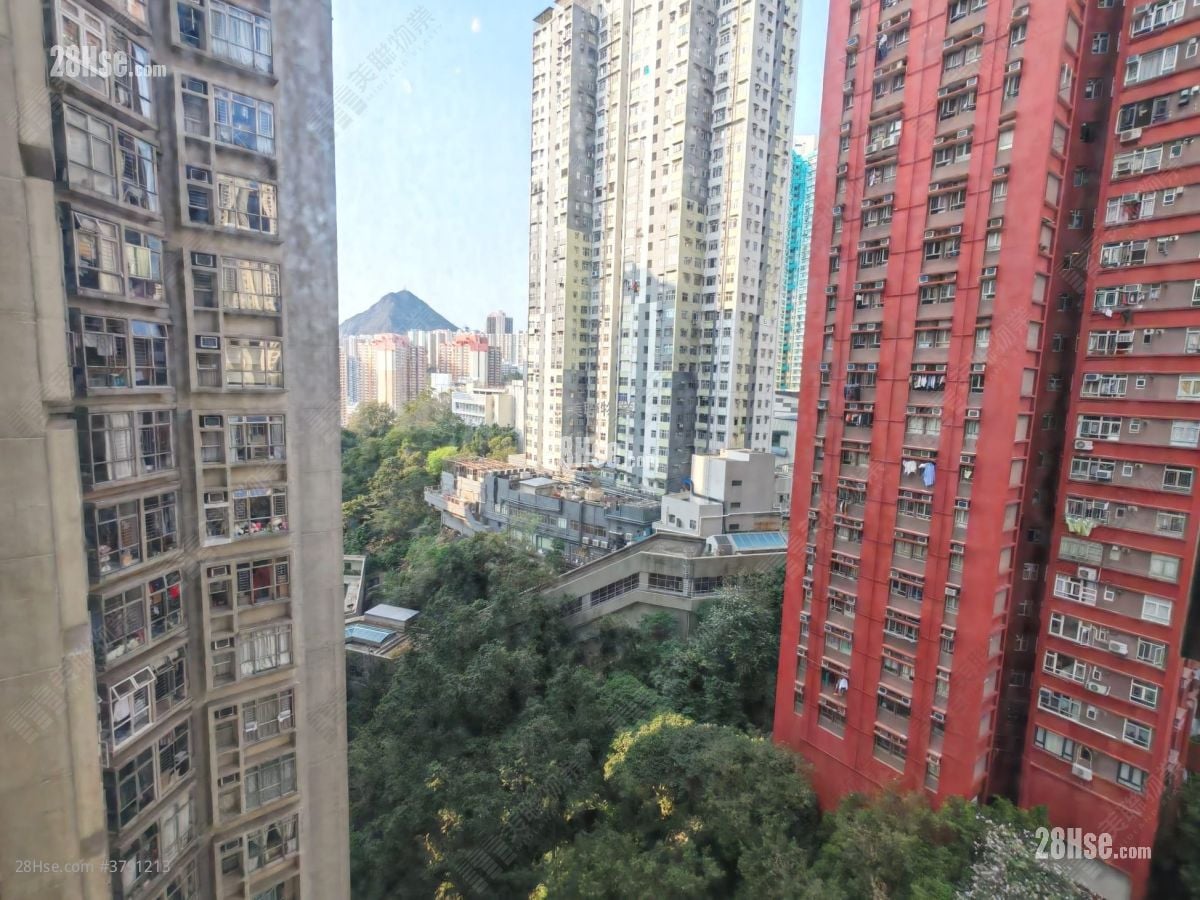 汇景花园 租盘 537 平方尺