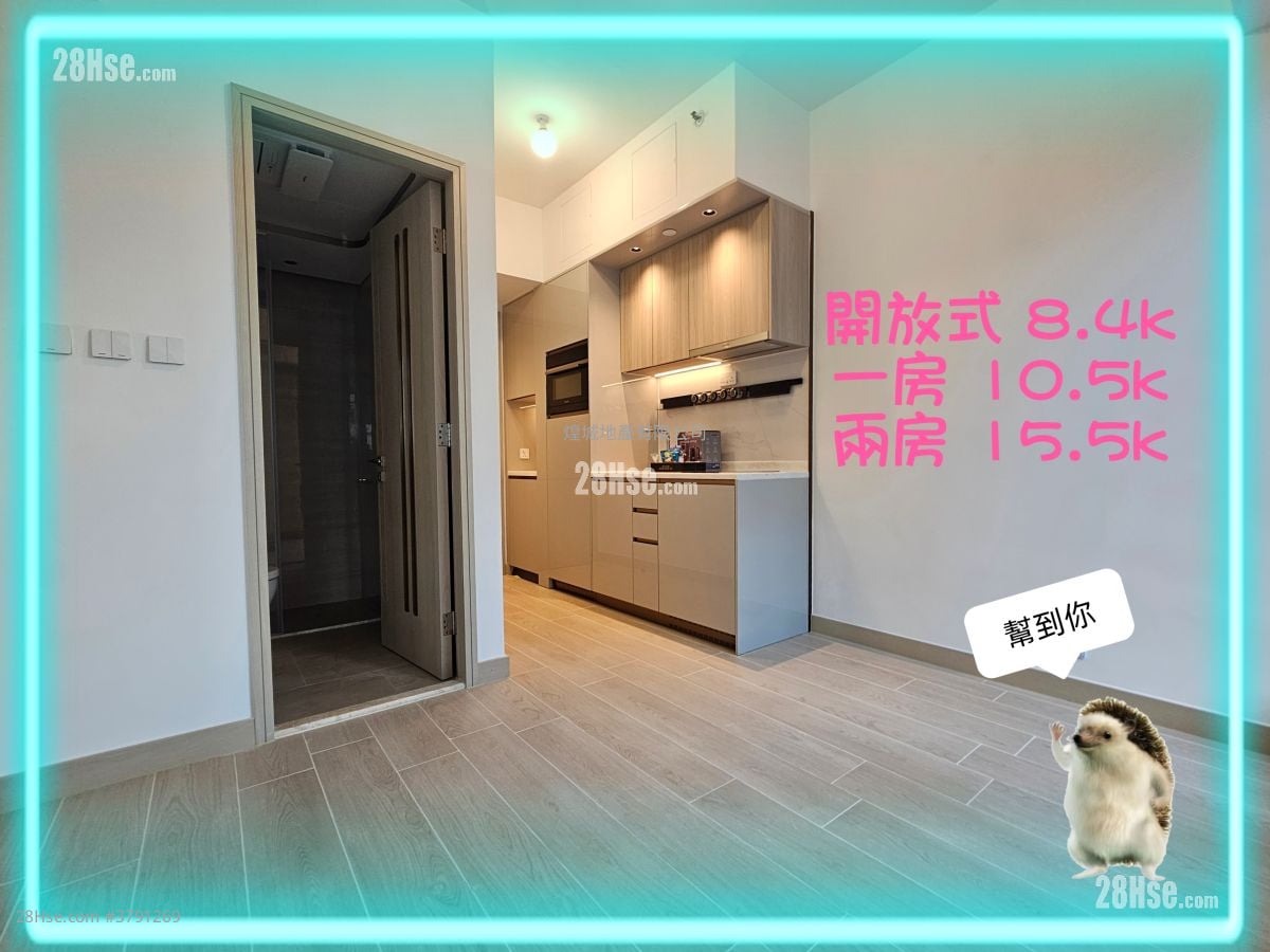 Gold Coast Bay Rental Studio , 1 Bathroom 204 ft²