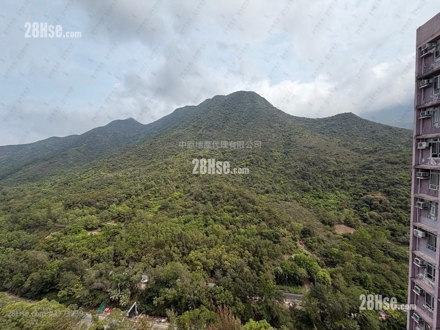 裕东苑 售盘 1 房 , 1 浴室 426 平方尺