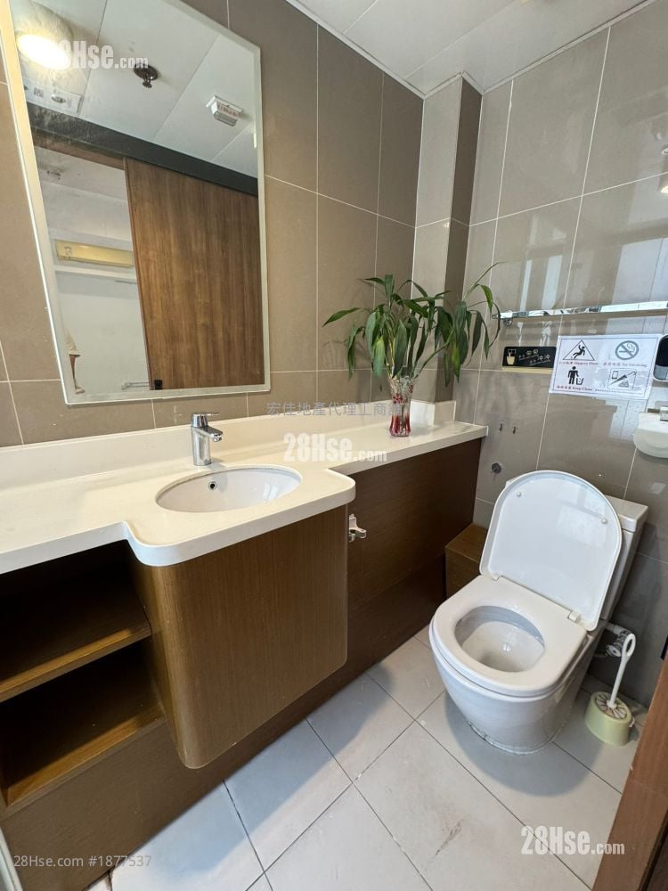 The Icon Rental 1 Toilet