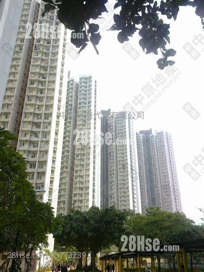 裕东苑 售盘 1 房 , 1 浴室 426 平方尺