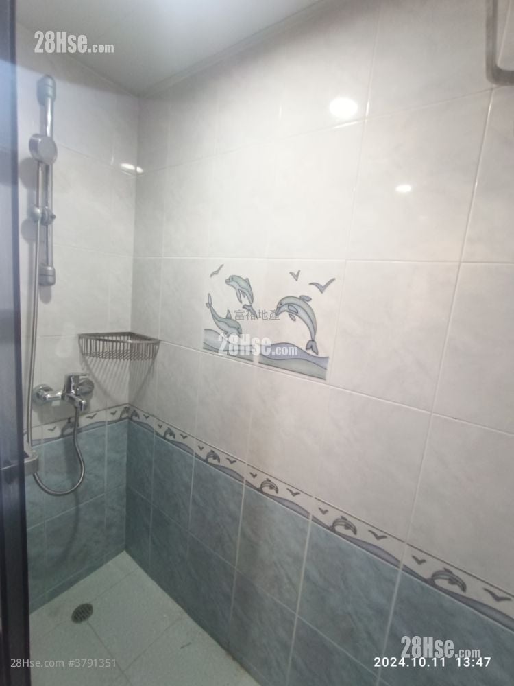 Po Thai Building Rental 2 Bedrooms , 1 Bathroom 357 ft²