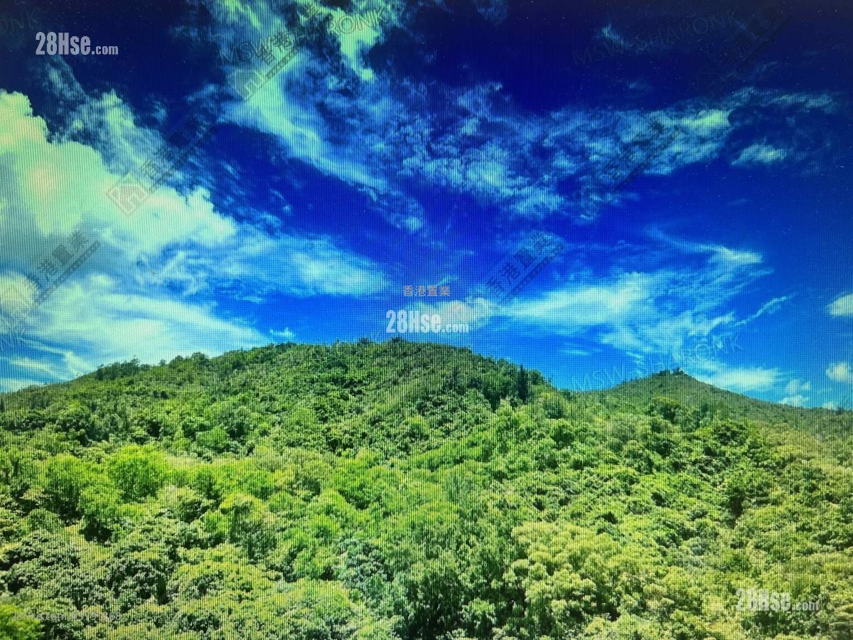 Ocean Shores Sell 2 Bedrooms , 1 Bathroom 503 ft²