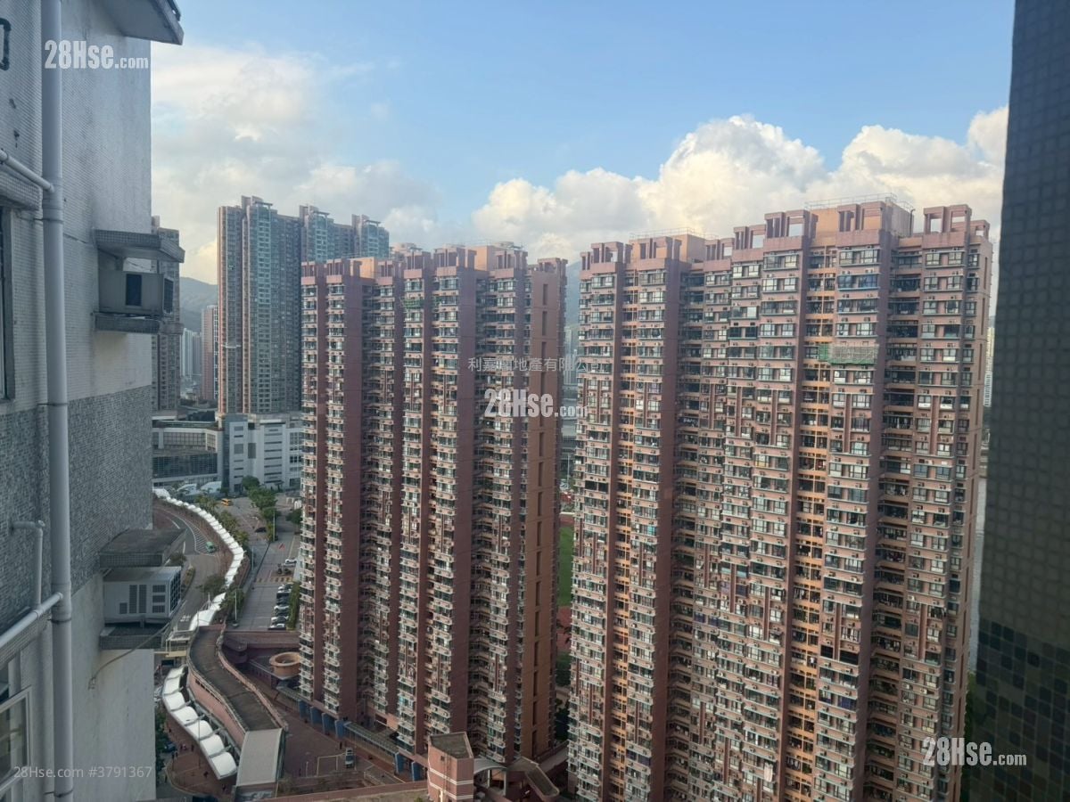 Serene Garden Sell 3 Bedrooms , 1 Bathroom 590 ft²