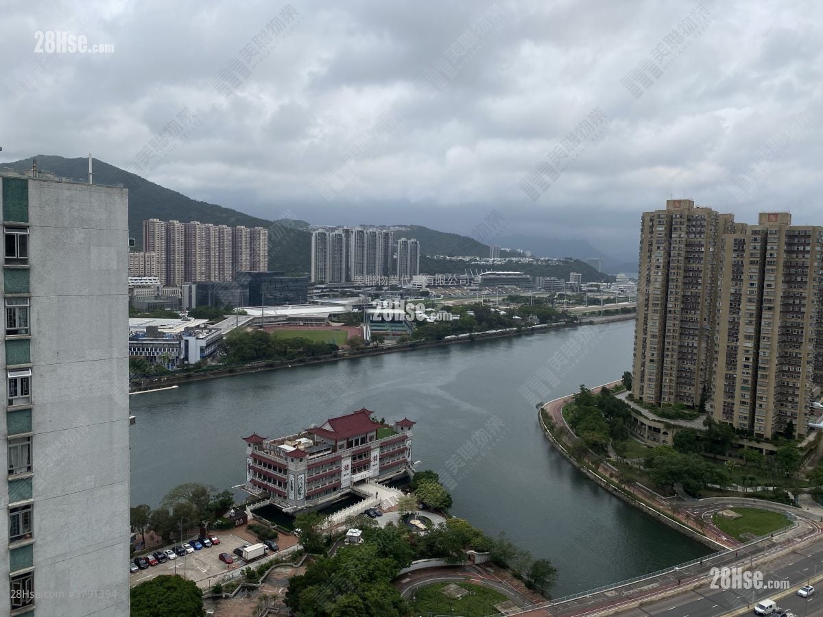 沙田第一城 售盘 1 房 , 1 浴室 327 平方尺