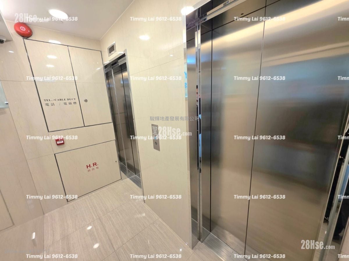 Y Centre 租盘 5+ 房 , 1 厕所