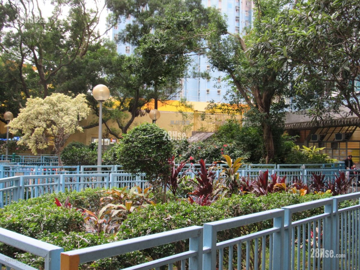 华贵邨 售盘 2 房 385 平方尺