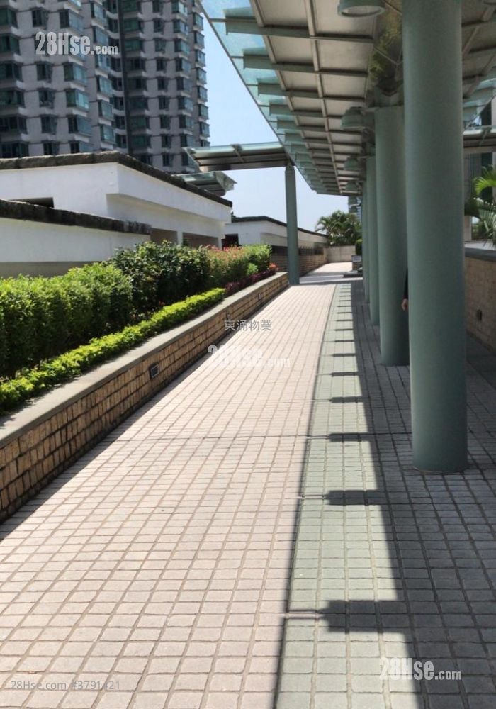 Seaview Crescent Rental 2 Bedrooms , 1 Bathroom 521 ft²