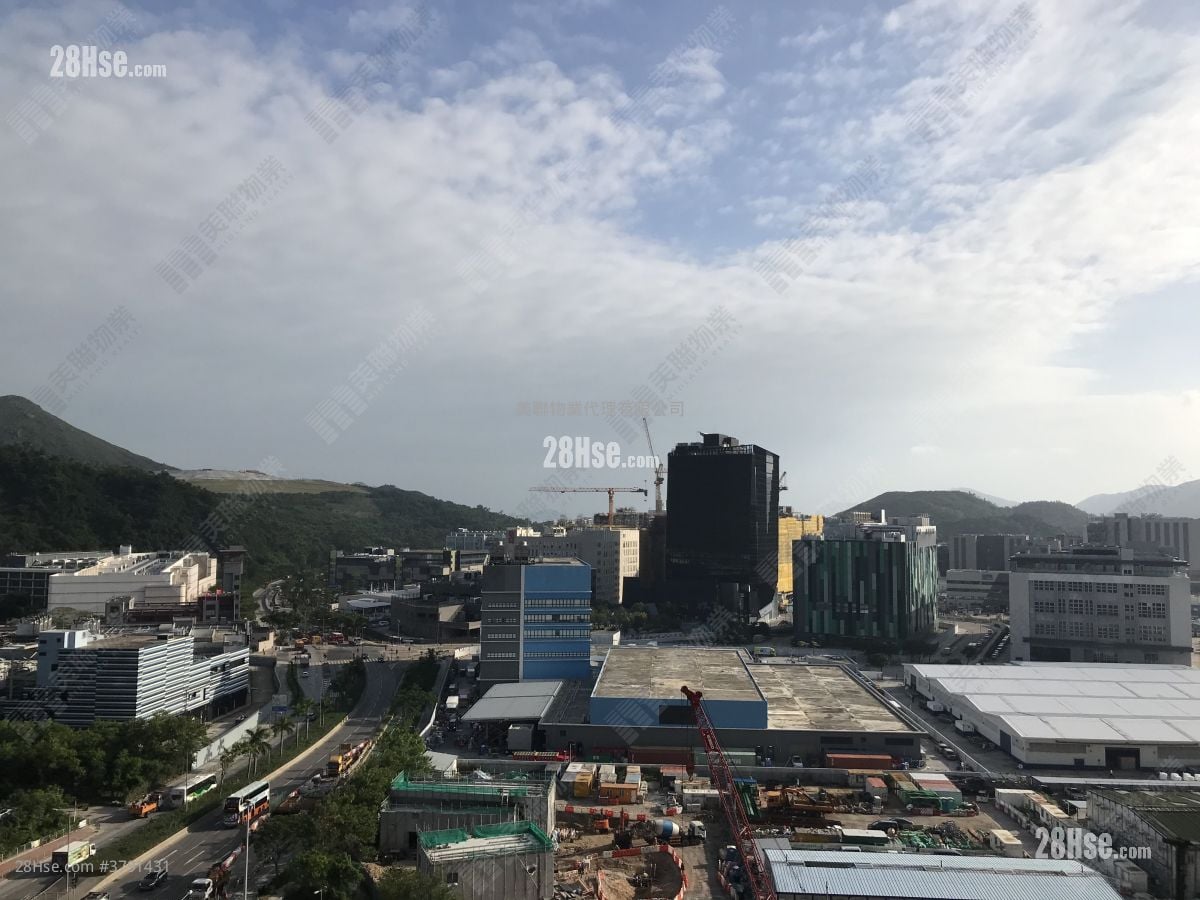 领都 售盘 3 房 , 3 浴室 822 平方尺