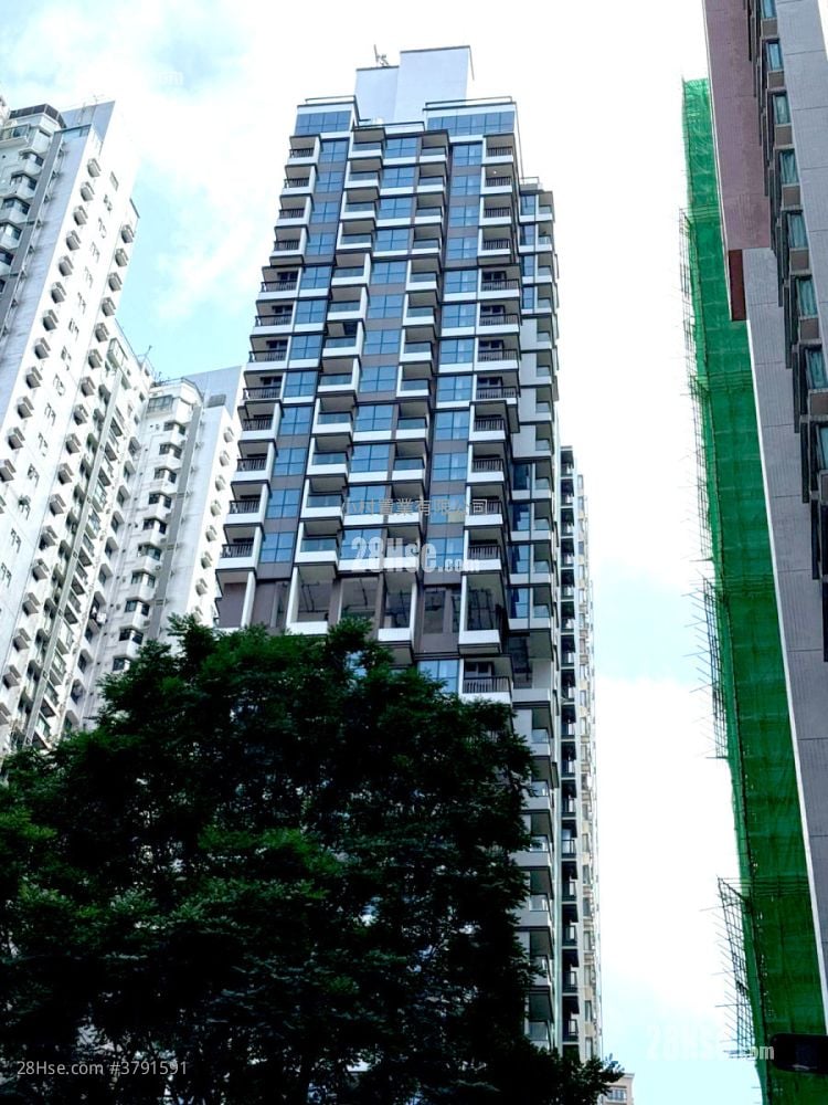 大厦外观: 摩罗庙街18号 租盘 1 房 , 1 浴室 373 平方尺